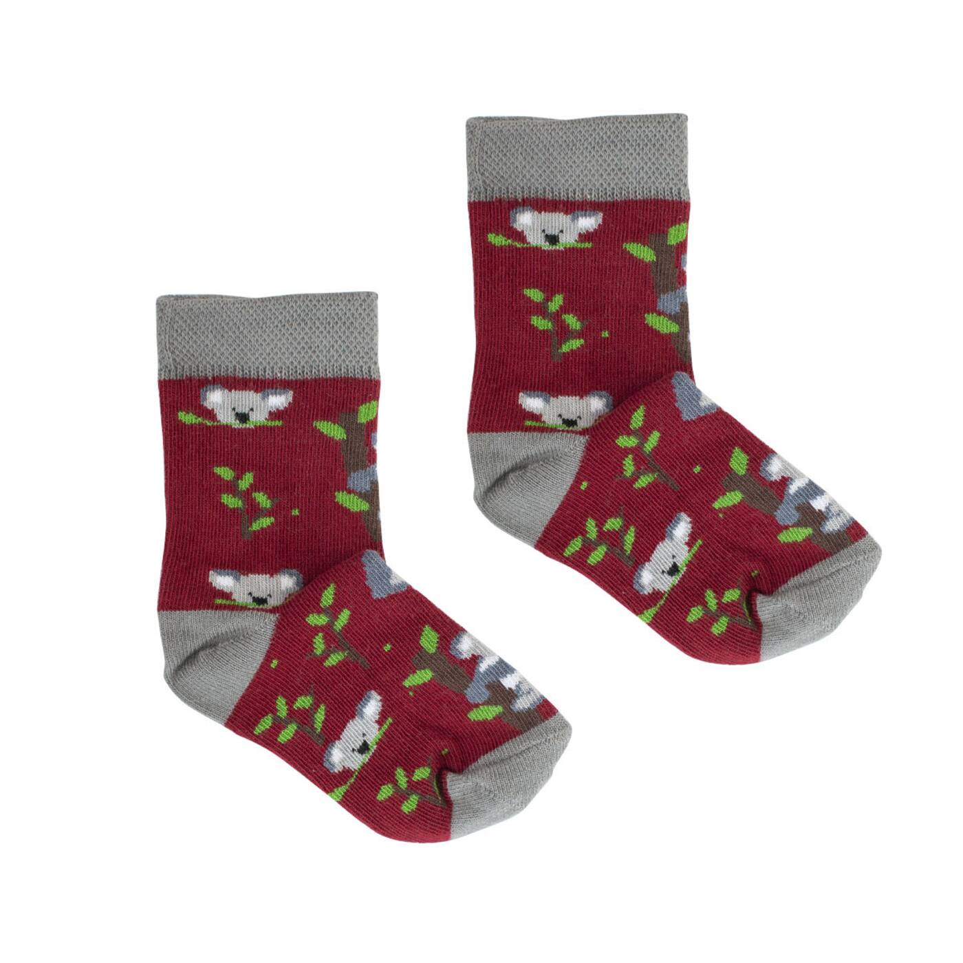 Kabak Socks Kids Koala